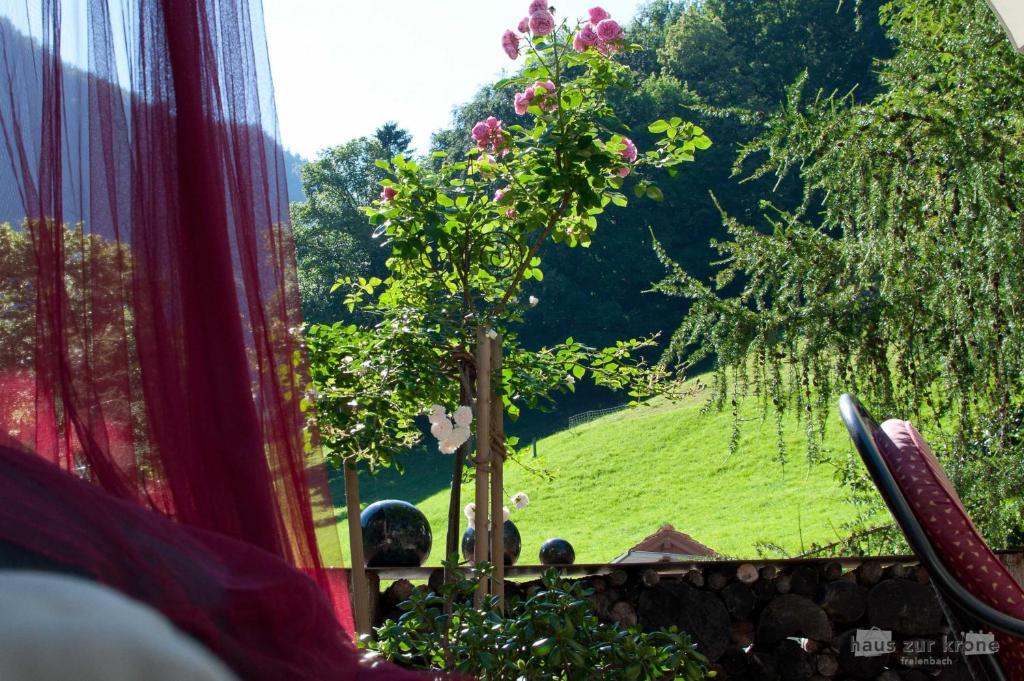 B&B Haus Zur Krone Oberriet Eksteriør bilde